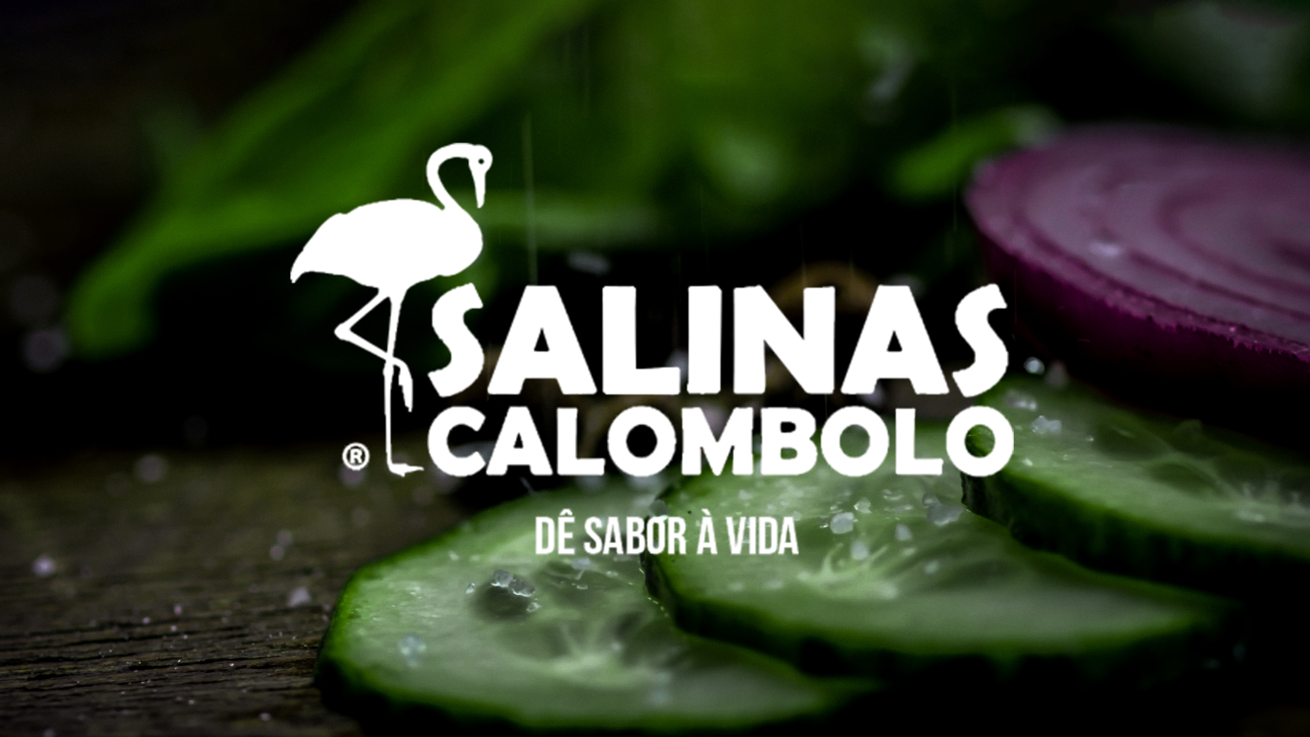 SALINAS CALOMBOLO PROMO.VIDEO